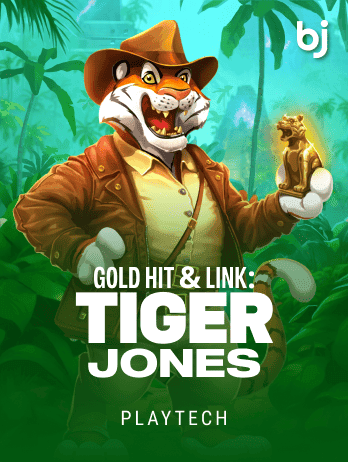 গোল্ড হিট অ্যান্ড লিঙ্ক টাইগার জোন্স game icon